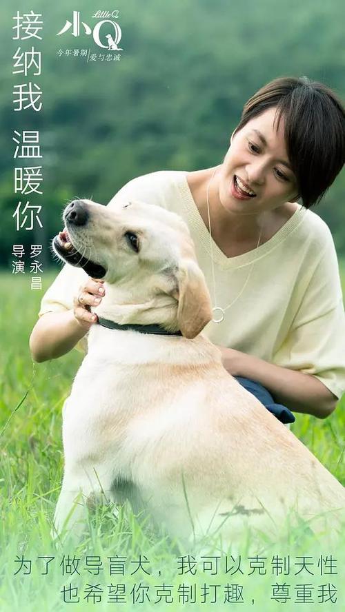 威斯康星大学斯托特分校国际商务文凭证书